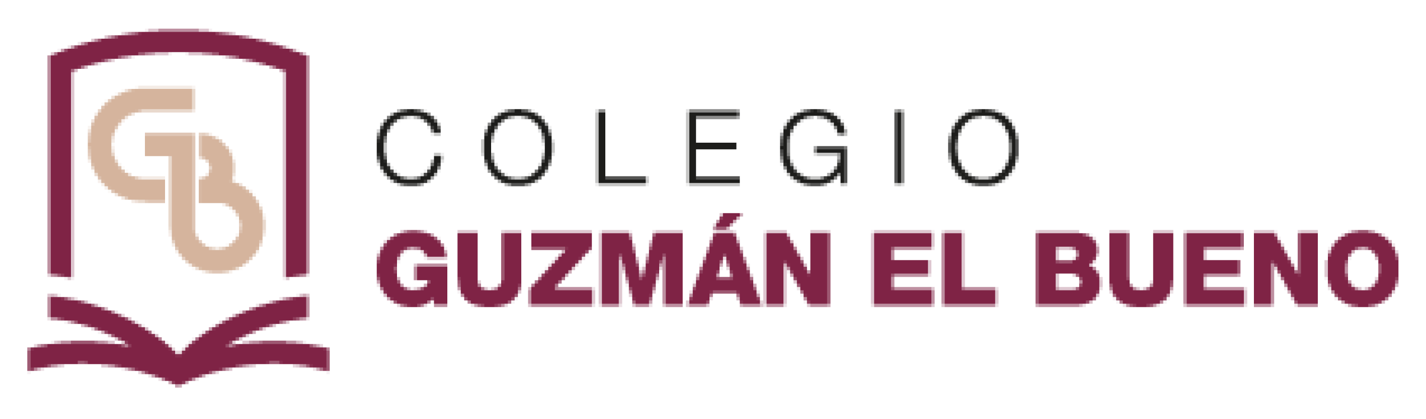 logo Colegio Guzman
